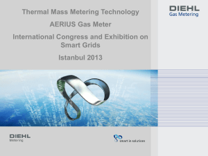 Diehl Gas Metering - ICSG ISTANBUL 2015