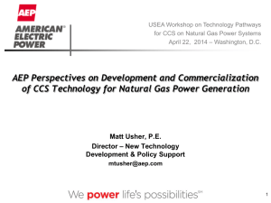 AEP- Matthew Usher - United States Energy Association