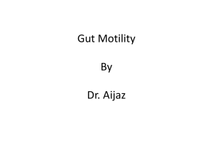 Gut Motility