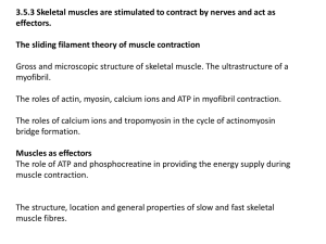 3.5.3 Skeletal muscles are stimulated to contract