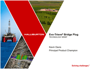 Evo-Trieve® Bridge Plug