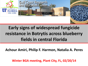 PowerPoint - Florida Blueberry Growers Association