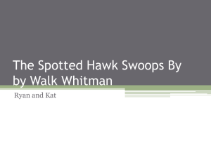 The Spotted Hawk Swoops By