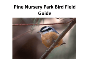 Pine Nursery Park Wildlife Field Guide