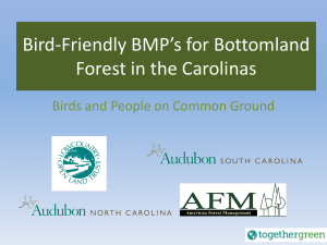 Bird-Friendly BMP`s for BottomlandForest in the