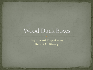 Wood Duck boxes