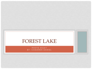 Welcome - Forest Lake