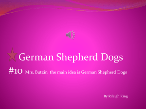 History Of The German Shepherd Dog