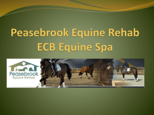 Peasebrook Equine Rehab ECB Equine Spa
