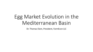 Egg Market Evolution in the Mediterranean Basin
