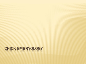 embryology - NorthMacAgScience