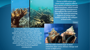 Ocean acidification may cause many negative effects on a variety of