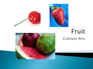 Fruit Classification