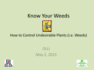 Know Your Weeds