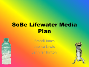 SoBe Media Plan - Amazon Web Services