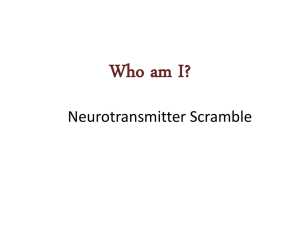 Neurotransmitter Scramble