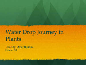 Water Drop Science Omar Ibrahim - 16-307