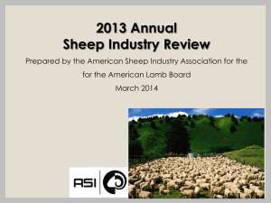 2013 Annual Report - Lamb Check Off > American Lamb Board