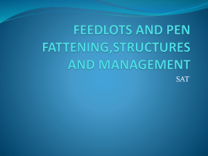 Feedlots And Pen Fattening Structures And Management SAT