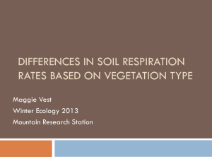 The effects of vegetation on soil respiration rates under the snowpack