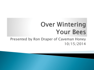 Over Wintering Your Bees
