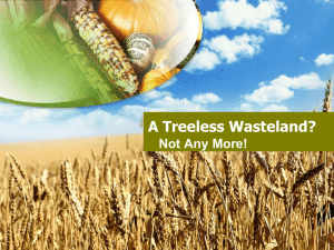 TreelessWasteland - PurpleHistoryWiki