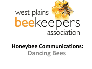 Honey Bee Communication