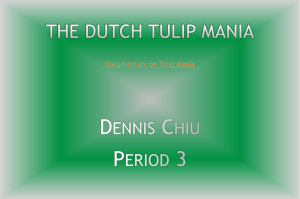 The Dutch Tulip Mania