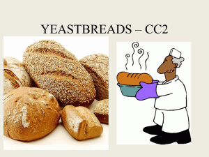 yeastbreads cc2 - Hinsdale Central High School
