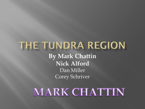 The Tundra Region