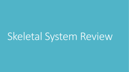SKELETAL SYSTEM MEDICAL TERMINOLOGY