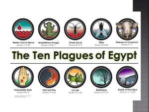 The Plagues Powerpoint (courtesy of L. Groeneweg)