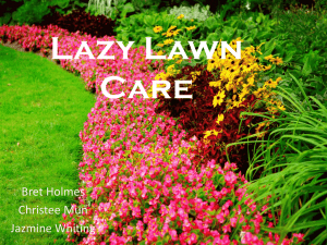 Lazy Lawn Care - Jazmine Whiting