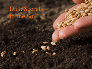 Dirt: Secrets in the Soil