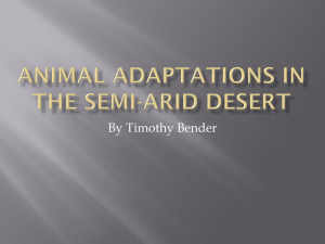 Animal+Adaptations+in+the+Semi