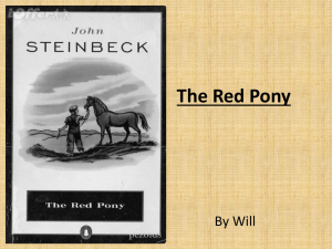 The Red Pony Will