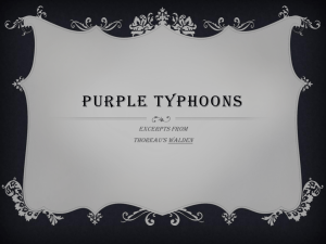 Purple typhoons