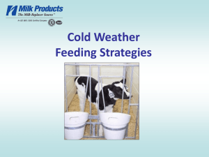 Cold Weather Feeding Strategies
