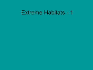 Extreme Habitats - Gaughan