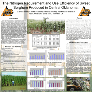 The Nitrogen Requirement and Use Efficiency of Sweet