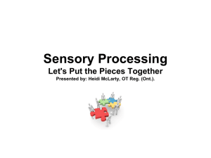 Sensory Processing Let`s Put the Pieces Together Presented by