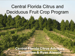 Central Florida Citrus and Deciduous Fruit Crop Program