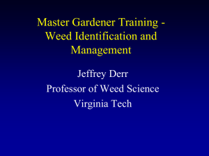 Weed Identification and Management