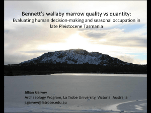 Bennett`s wallaby marrow quality vs quantity