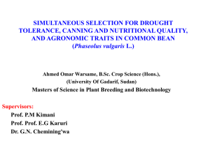 simultaneous selection for drought tolerance, canning and