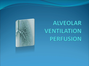 alveolar_ventilation..