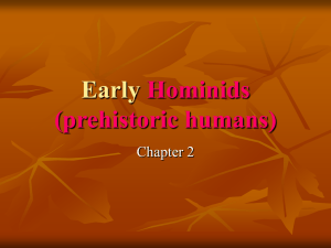 hominids - Hale Charter Academy