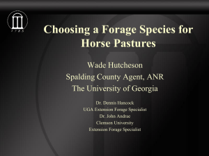 Choosing a Forage Species for Horse Pastures