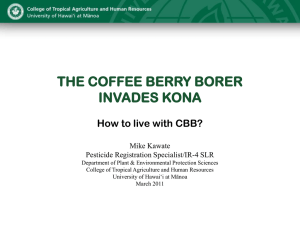 Coffee Berry Borer - Western Region IR4