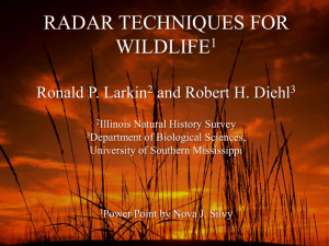Radar Display - Department of Wildlife and Fisheries Sciences